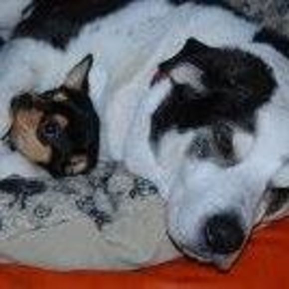 Meet your Posher, Kerri - Picture 1 of 1